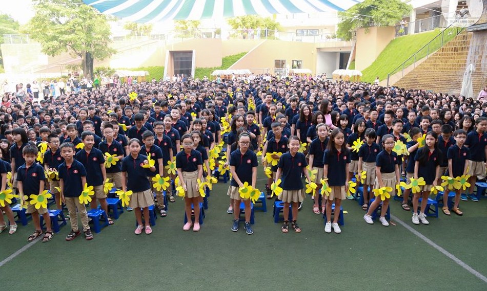 Thông tin về trường Marie Curie